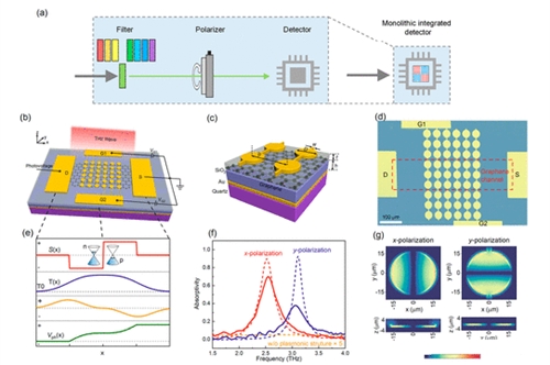 清华大学《ACS Nano》：具有波长和偏振选择性的单片超材料集成石墨烯太赫兹光电探测器