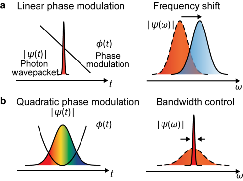 动态相位调制可以控制光子频率和带宽
