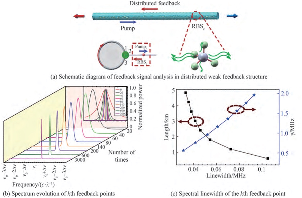 分布弱反馈结构光谱演化理论分析