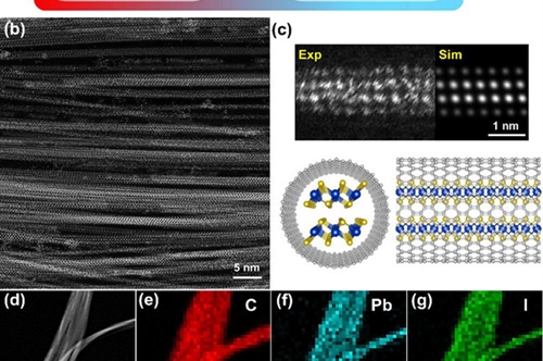 碳纳米管内嵌异质结的光电应用研究取得进展