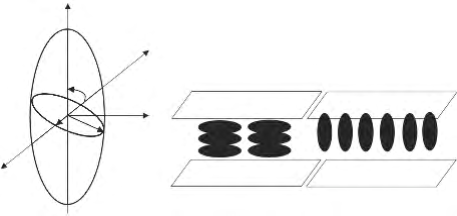 图 1 (a) 向列相液晶双折射原理图；(b) 相位型空间光调制器原理图