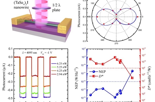 基于准一维(TaSe4)2I纳米线的超宽带光电探测器研究进展