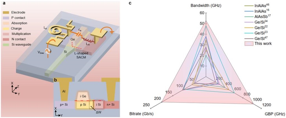 a，所研制的锗硅APD探测器的结构示意图。b，掺杂区域的截面示意图。c，该工作和其他工作的比较图