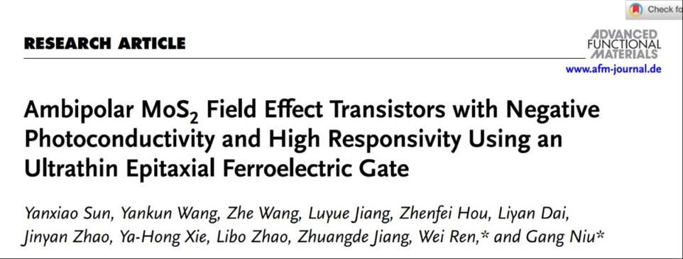 Ambipolar MoS2Field Effect Transistors with Negative Photoconductivity and High Responsivity Using an Ultrathin Epitaxial Ferroelectric Gate
